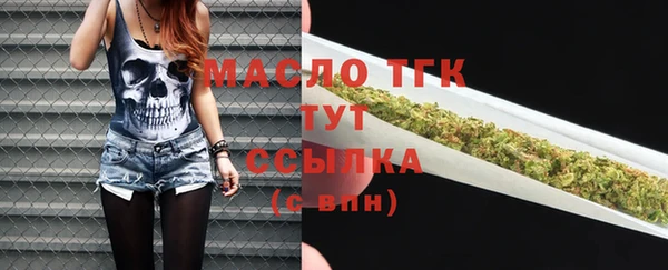прущий лед Михайлов