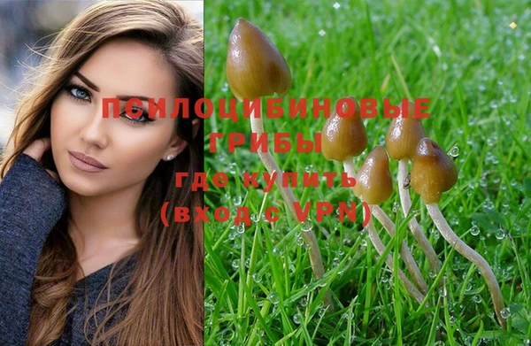 MDMA Premium VHQ Михайловка