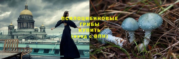 прущие крисы Мегион