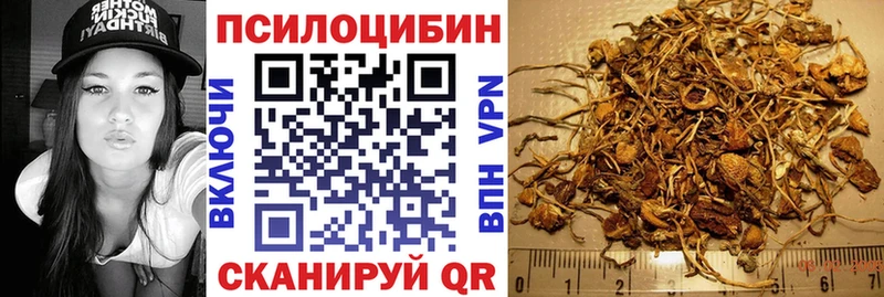 Псилоцибиновые грибы Psilocybe  закладки  Томари 