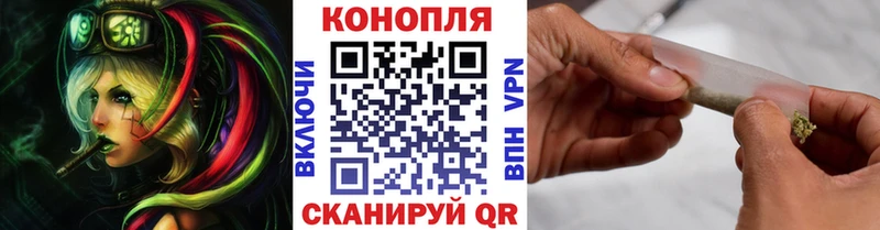 Конопля планчик Томари